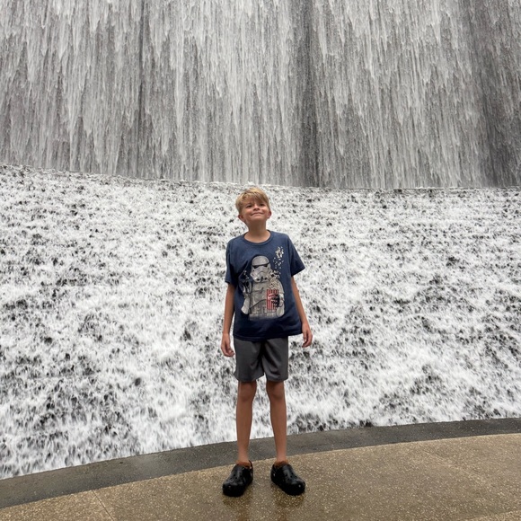 Meet your Posher, Amber aka T-Rex - Picture 3 of 4